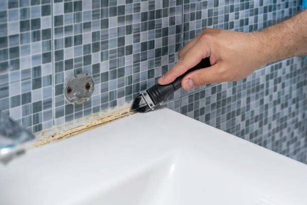 Best Emergency Mold Remediation in Whitehorn Cove, OK